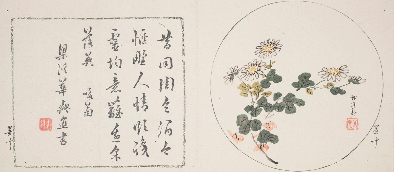 A square with Chinese characters on the left, a circle with an illustration of a white chrysanthemum plant on the right.