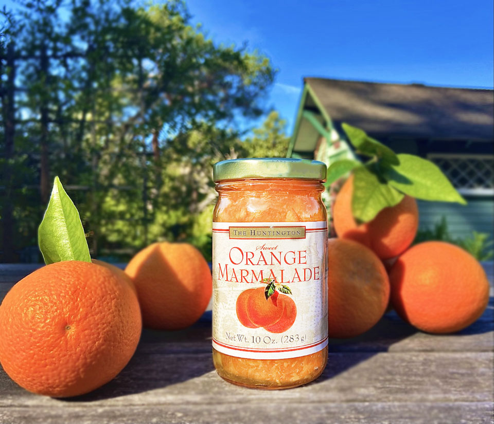 Jar of Huntington Marmalade