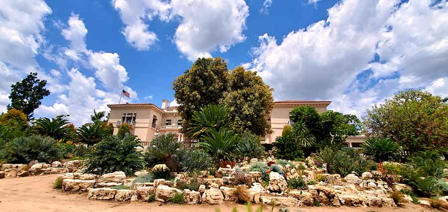 Lead project gardener Gary Roberson works in The Huntington’s new hillside cycad garden, a dramatic showcase for thousands of plants donated by the late Loran and Eva Whitelock. Photo by Scott Berger.