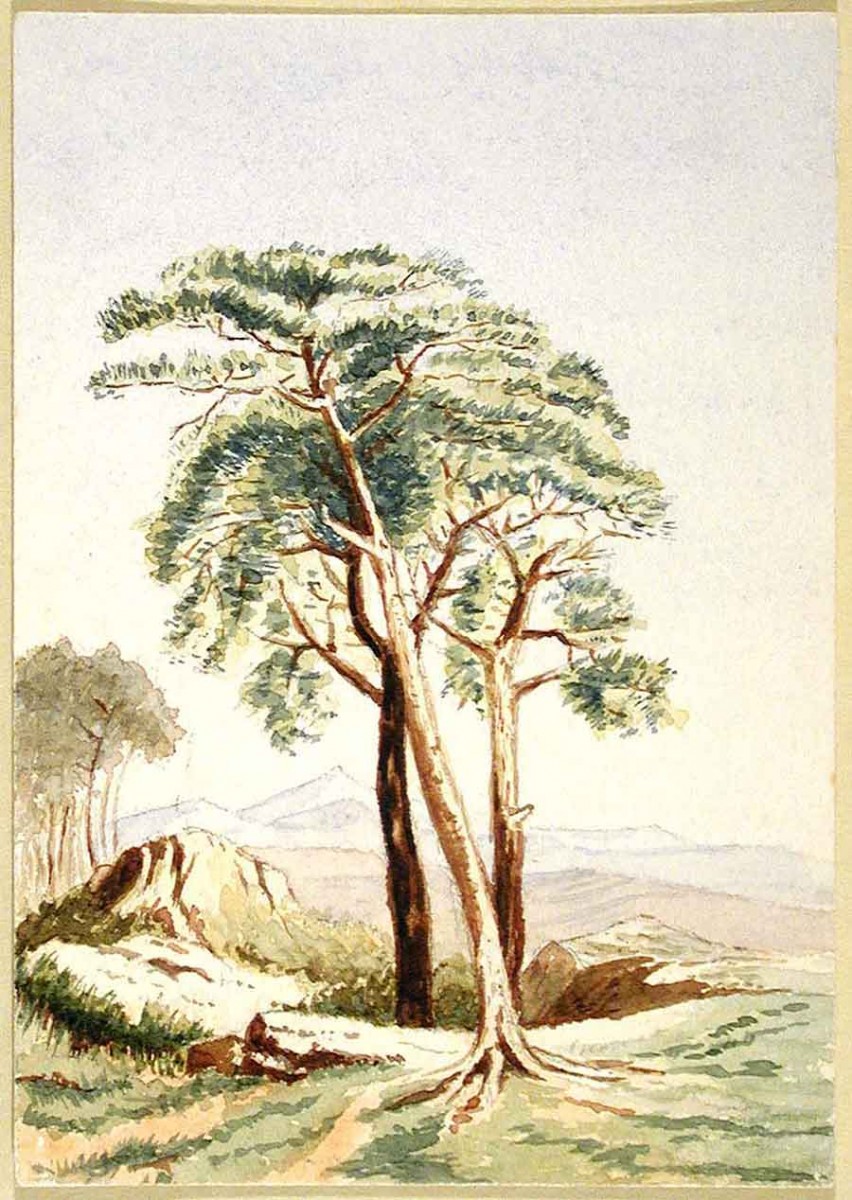 Joseph Basil Girard, Landscape with Trees, Oct. 15, 1890, watercolor on paper, 5 x 3 1/2 in. (12.7 x 8.9 cm.), purchased with funds from the Virginia Steele Scott Foundation. The Huntington Library, Art Museum, and Botanical Gardens.