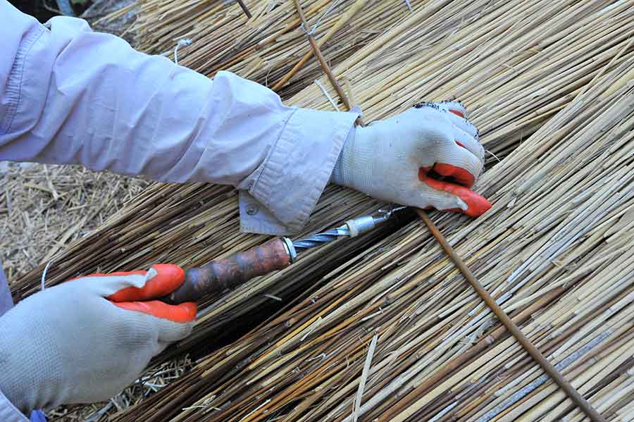 To secure the reeds in place, Cahill uses metal wire that is not visible in the finished roof. Photo by Andrew Mitchell.