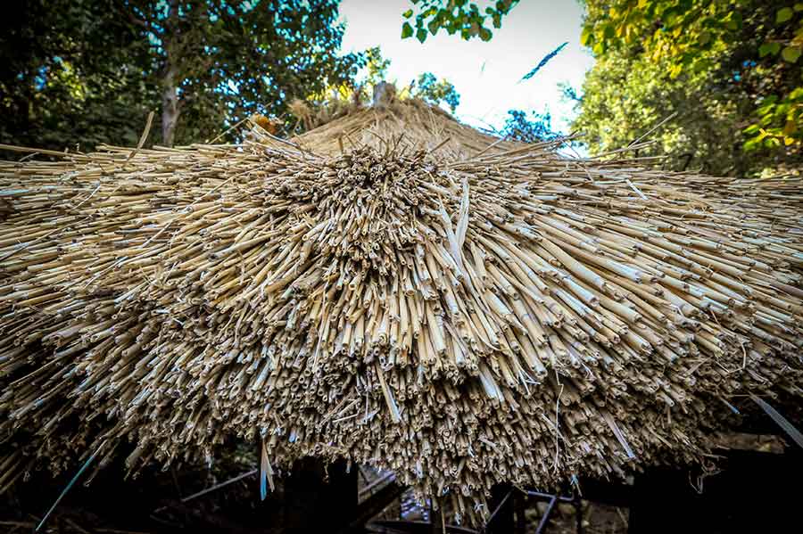 The ends of reeds protruding before they are smoothed. Photo by Andrew Mitchell.