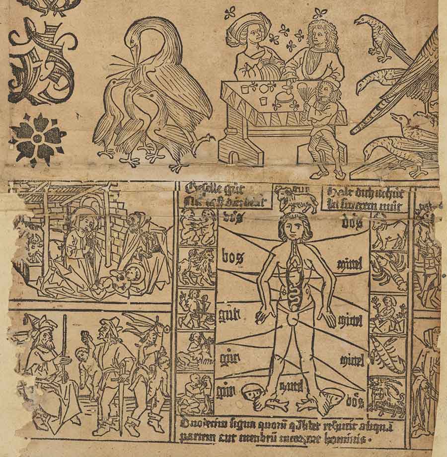 his Aderlasskalander (bleeding calendar) is a German astrological almanac that has instructions about favorable times in which to let blood and purge the body. It is not entirely clear when this item was printed, and one of the reasons this document remains mysterious is that it appears to be unique: The Huntington’s copy is the only one known to exist. Its survival owes to its use as “waste” pasted into the binding of a book to give it structure, and it is unclear when or from whence the item was removed. Detail from Aderlasskalander mit biblischen und zoologischen figuren. The Huntington Library, Art Museum, and Botanical Gardens.